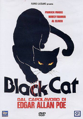 Black cat